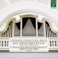 Mit Fried' und Freud' ich fahr' dahin in D Minor, BWV 616 - Enrico Viccardi & Johann Sebastian Bach