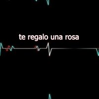 te regalo una rosa - YOLO AVENTURAS