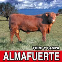 Sopla El Pampero - Almafuerte