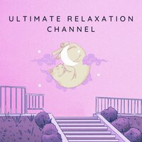 Zen Zone - Serenity Stream & Relaxation Station & Tranquility TV