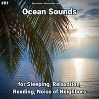Ocean Sounds Pt. 41 - Beach Sounds & Nature Sounds & Ocean Sounds