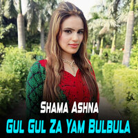 Ta Pa Prade Watan Ke Sa Ledali Dena - Shama Ashna