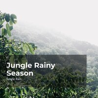 Life in the Wilds - Nature and Rain & Deep Rain Sampling & Jungle Rain