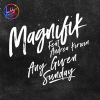 Any Given Sunday - Stefano Noferini & Magnifik
