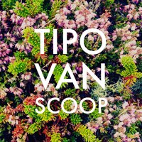 Lunatic - Tipo van Scoop