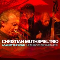 Air Love And Vitamines - Christian Muthspiel & Franck Tortiller & Georg Breinschmid