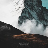 Needed Love - Liam Thomas