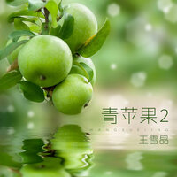 萤火虫 - 王雪晶