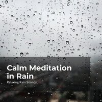 Relaxing Rain Medley - Relaxing Rain Sounds & Rain for Sleep & Rain Drops for Sleep