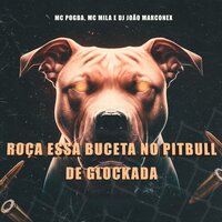Roça Essa Buceta no PitBull de Glockada - MC POGBA & MC MILA & DJ João Marconex