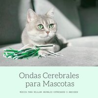 Caricias Relajantes - Relajación Natural Maestro