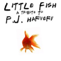C'mon Billy - (Tribute to P. J. Harvey) - Studio Union
