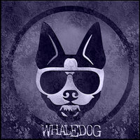 One Day One Life - Whaledog