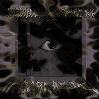 INCARNATION - SAFRIMXV & XXXANEXXX