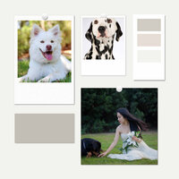 Simple (Stressed Pup) - Chill My Pooch