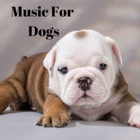 Zero Bark Thirty - Music for Dogs & Music for Dogs Peace & Relaxing Puppy Music & Calm Pets Music Academy