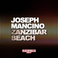 Zanzibar Beach - Joseph Mancino
