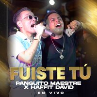 Fuiste Tú - Panguito Maestre & Haffit David