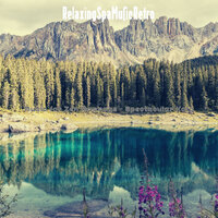 Background for Zen Massage - Relaxing Spa Music Retro
