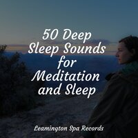 Heavling Waves - Deep Sleep & Spa & Study Music Library