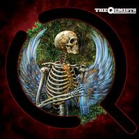 Your Revolution - The Qemists