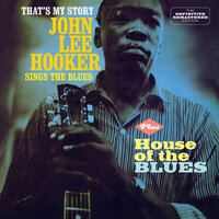 Love Blues - John Lee Hooker