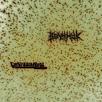 Who's Pen Is This? - T.M.A.F. & Vantana Row