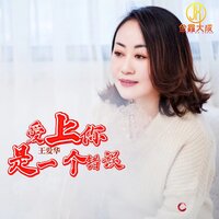 爱上你是一个错误 - 王爱华