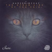 The Other Side of the Void - Harvey McKay