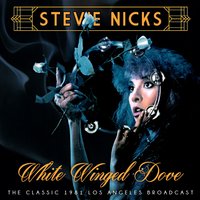 Outside the Rain/Dreams - Stevie Nicks