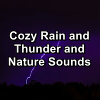 Rain in the Rainy Forest For Babies to Sleep - Rain Sounds For Sleep & Sleepy Rain & Baby Rain