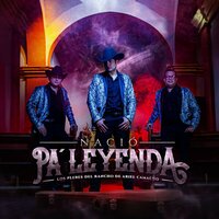 No Es Para Menos - Los Plebes del Rancho