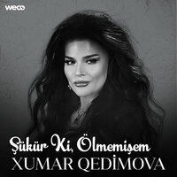 Şükür Ki, Ölmemişem - Xumar Qedimova