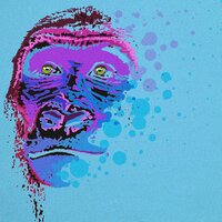 Monkey Shuffle - LOVE APE