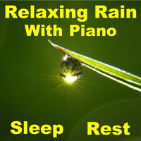 Cleansing Caress of Refreshing Rain - Casey Adams