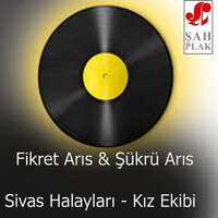 Ondörtlü - Fikret Arıs & Şükrü Arıs