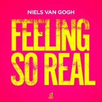 Feeling So Real - Niels van Gogh
