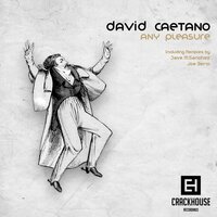 Any Pleasure - David Caetano