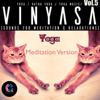 Kashmir violin - Yoga Music & Yoga & Hatha Yoga & Vinyasa