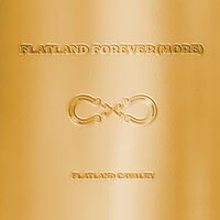 Years From Now - Flatland Cavalry
