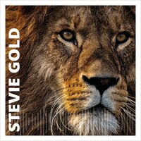 Inspiring Journey - Stevie Gold