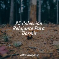 Viaje Relajante - Naturaleza Relajacion & Meditacion & Musica relajante
