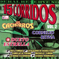 El Juanito y El Willy - Cornelio Reyna & Los Cachorros & Dueto Estrella