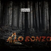 La Casa de los Caracoles - Luceros el Ojo Daltónico