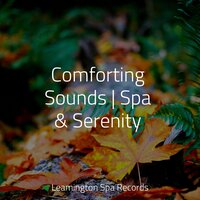 Massage Spa - Sleep Tight & Academia de Música para Massagem Relaxamento & Easy Sleep Music