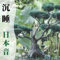 放松身心 - 疗愈音乐
