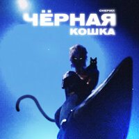 Чёрная кошка - CHEPIKK