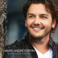Toutes les saisons - Marc-André Fortin