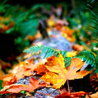 Soothing Ambience - Alpha Waves & Mindfulness Mediation World & White Noise Relaxation
