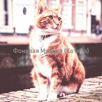 Видения (Кошки) - Музыка для кошек Фоновая музыка